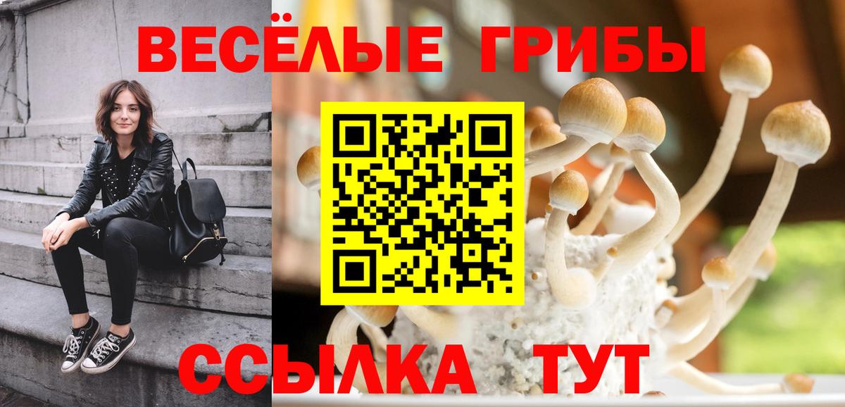 Азов  Галлюциногенные грибы мицелий  Вход с VPN 