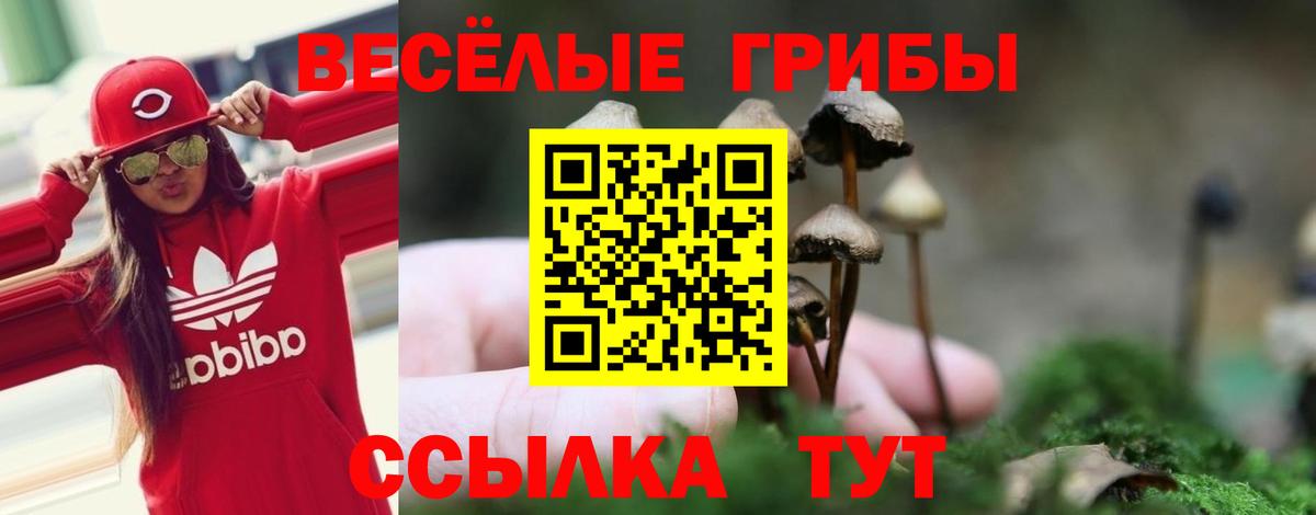 Галлюциногенные грибы Magic Shrooms Азов